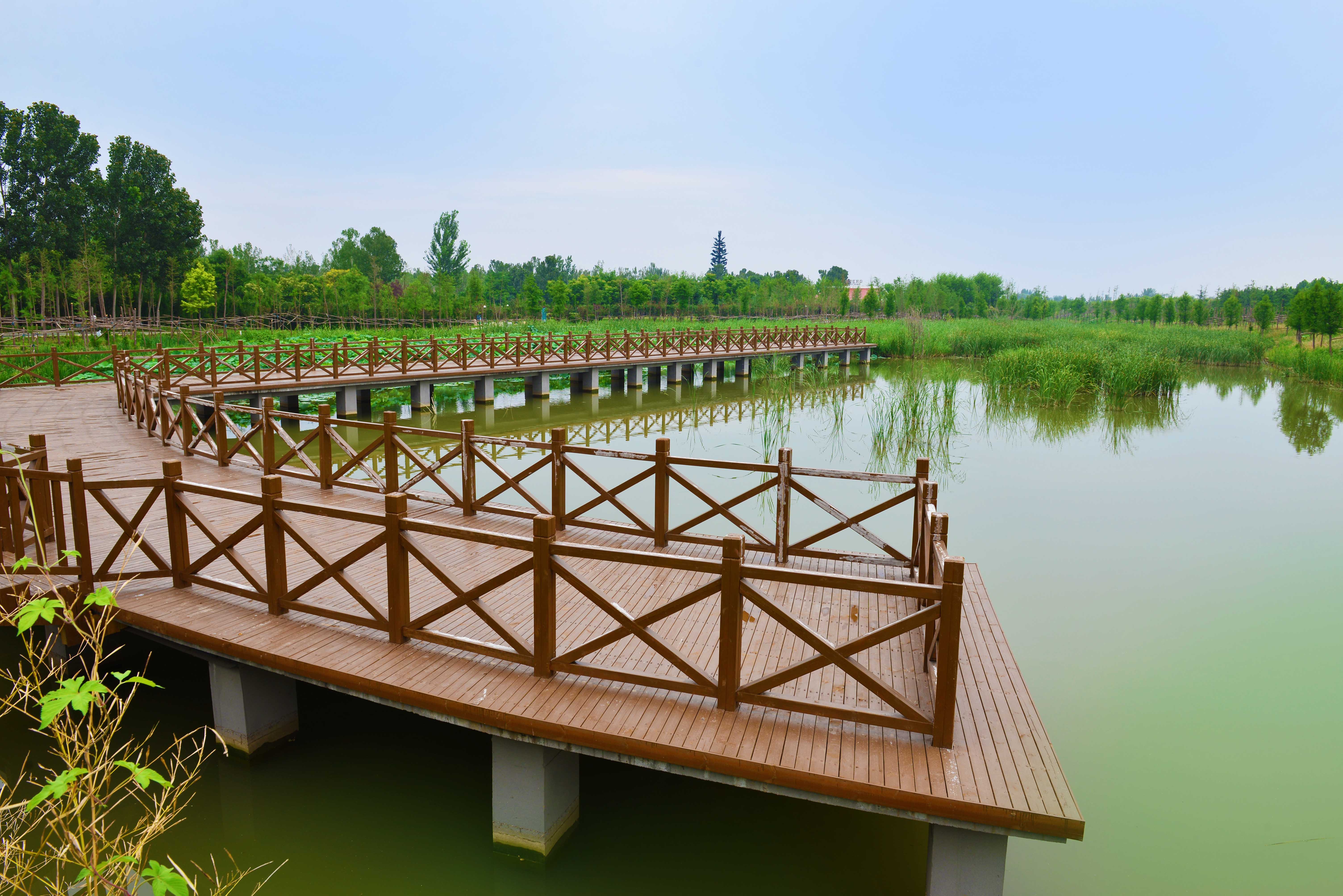 1610523345443937.jpg 3.jpg