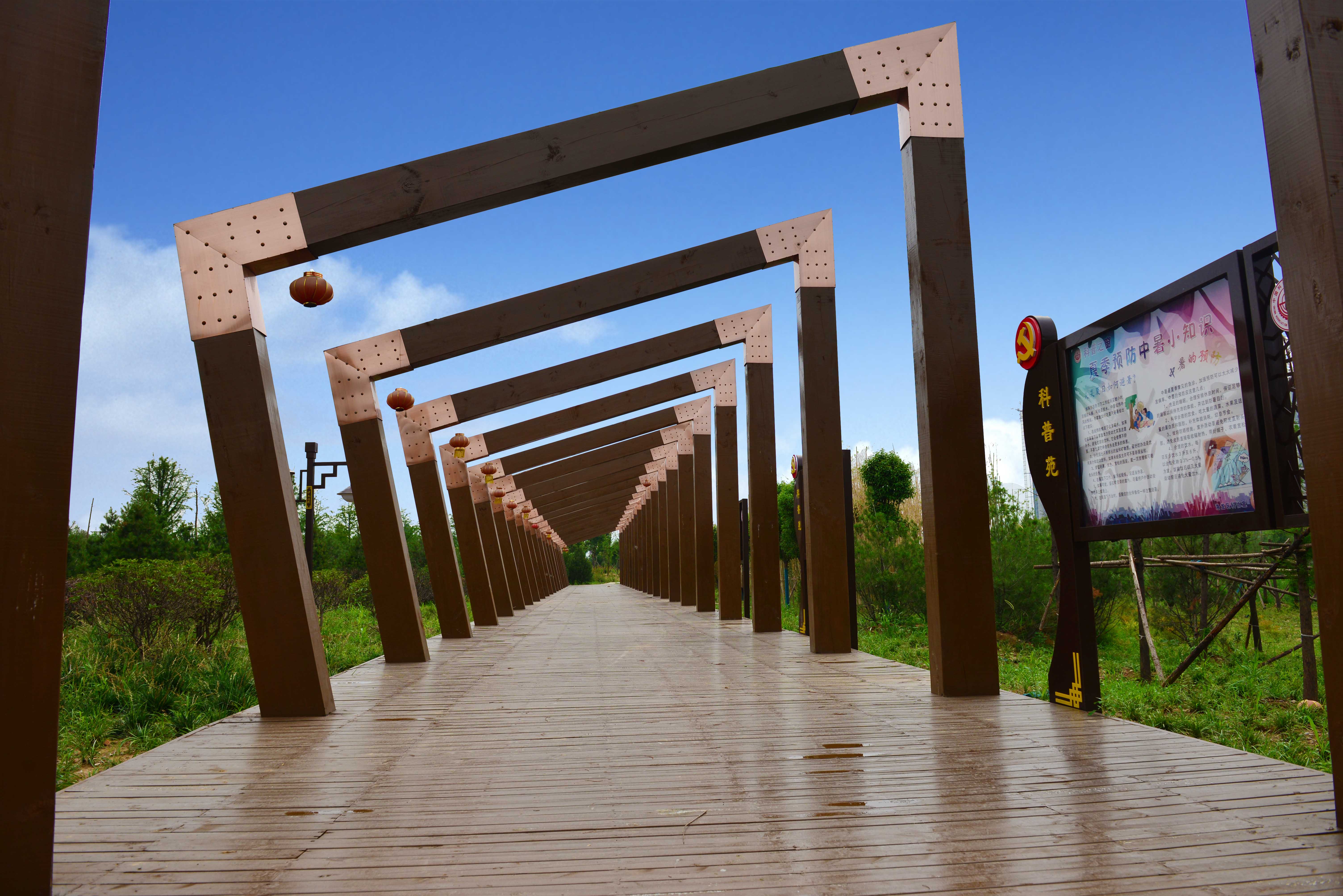 1610525413837929.jpg 5.jpg